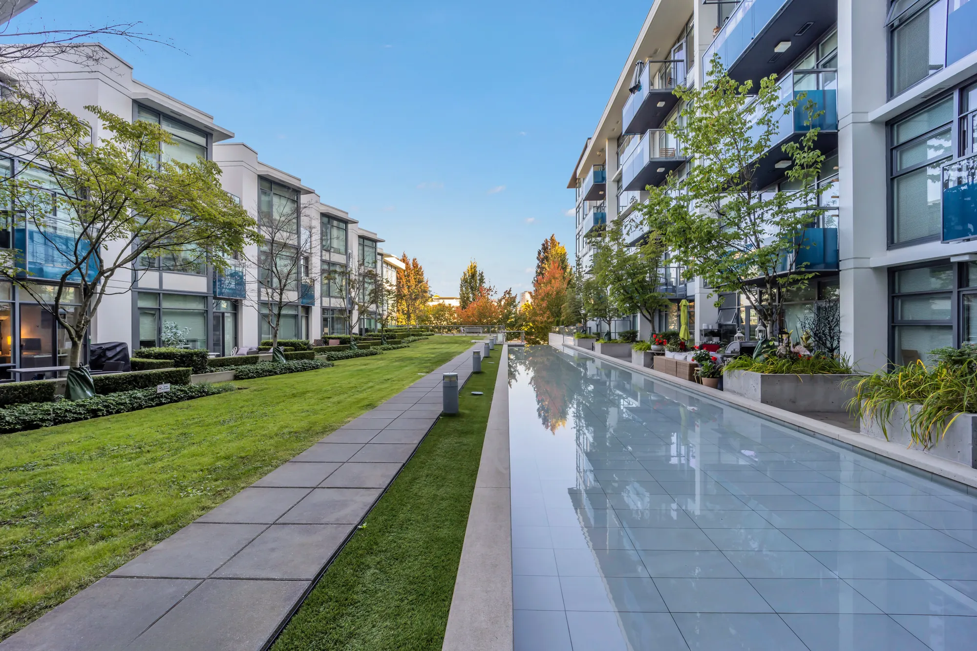The courtyard's lawn and pool from the other end, trees along the path