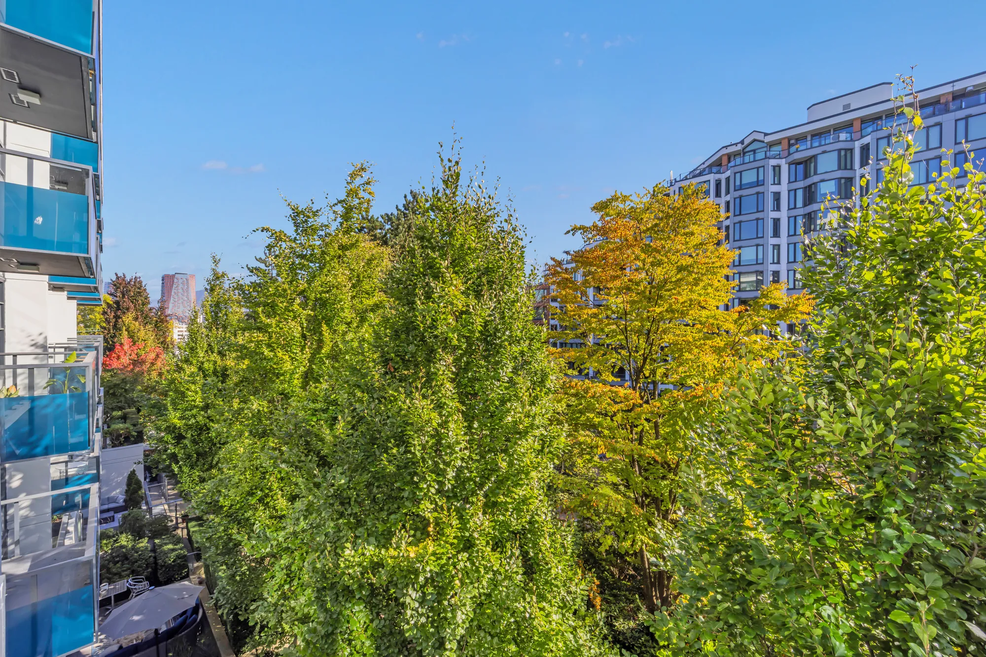From the balcony: the courtyard's trees in autumn colour, the blue glass of the building's balconies at the left